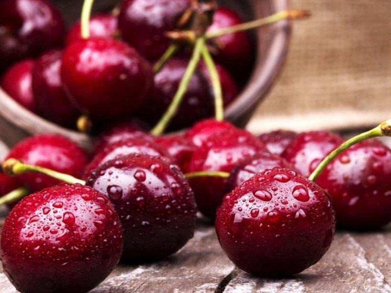 Вишня купить саженцы из питомника в Ижевске